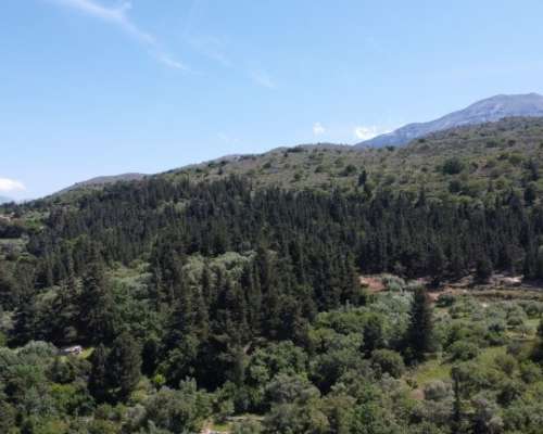 φωτογραφία ακινήτου