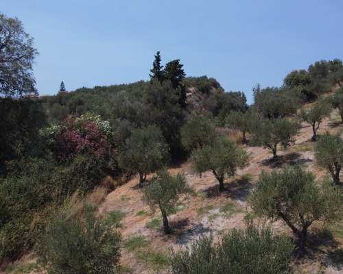 φωτογραφία ακινήτου