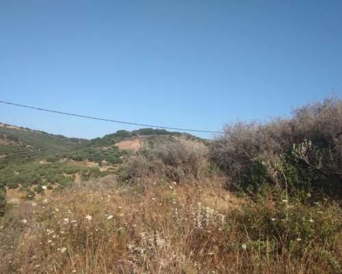 φωτογραφία ακινήτου