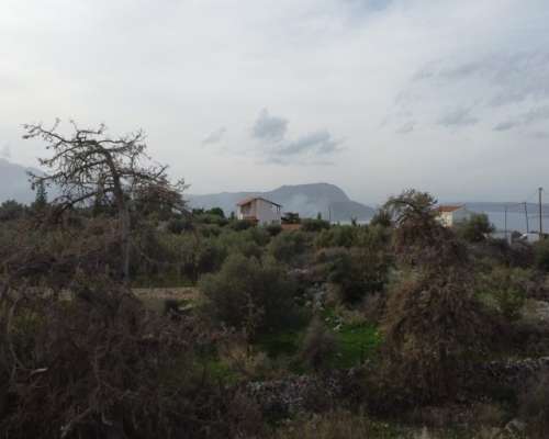 φωτογραφία ακινήτου