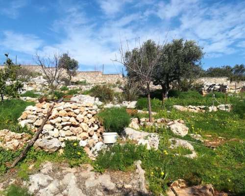 φωτογραφία ακινήτου