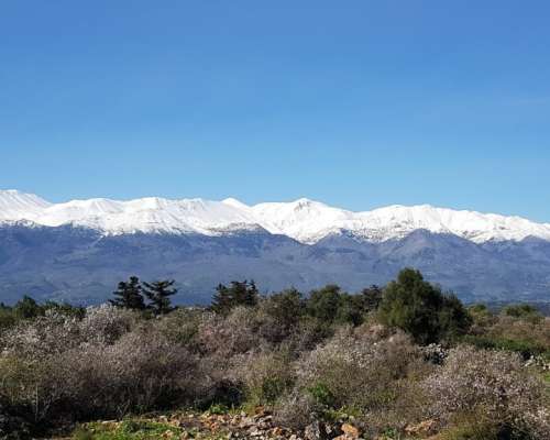 φωτογραφία ακινήτου