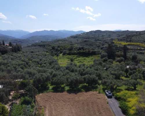 φωτογραφία ακινήτου
