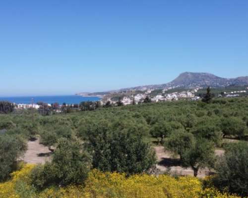 φωτογραφία ακινήτου