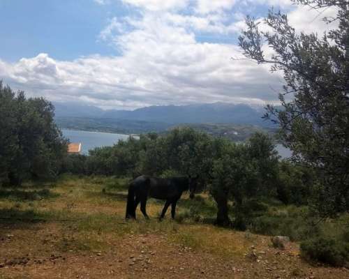 φωτογραφία ακινήτου