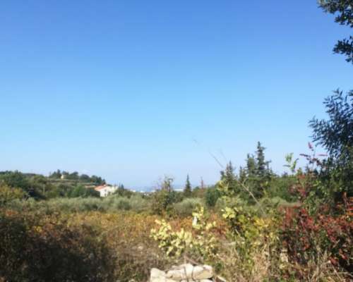 εικόνα ακινήτου
