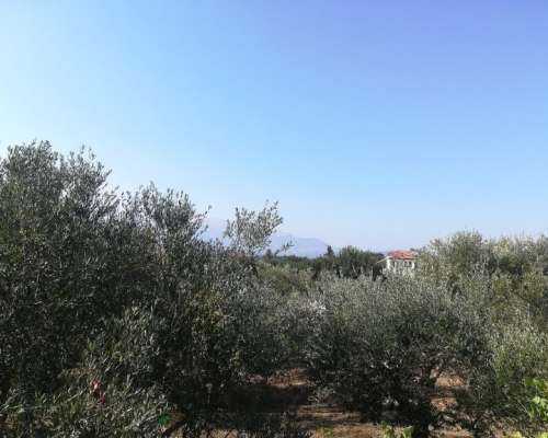 φωτογραφία ακινήτου