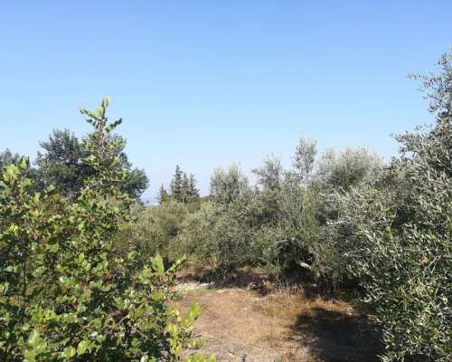 φωτογραφία ακινήτου