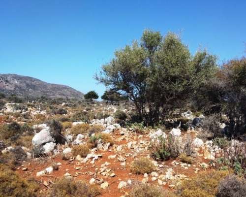 φωτογραφία ακινήτου