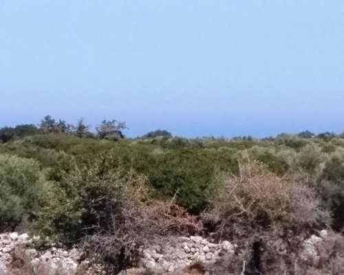 φωτογραφία ακινήτου