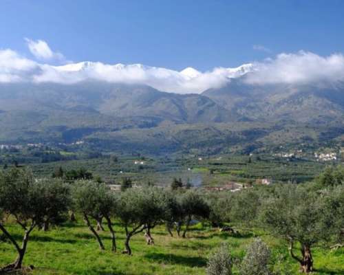 φωτογραφία ακινήτου