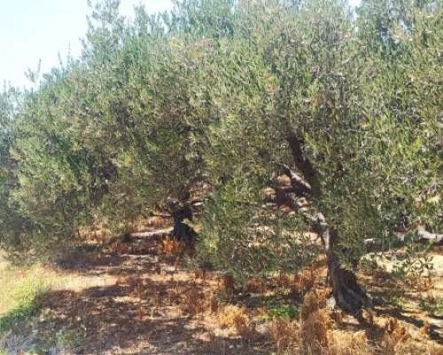 φωτογραφία ακινήτου