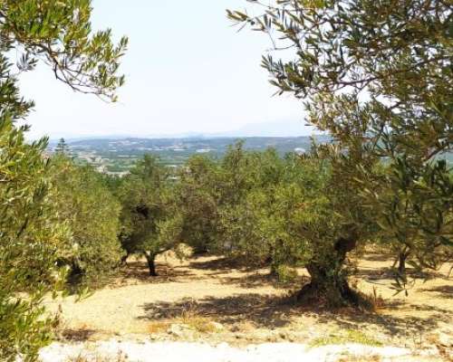 φωτογραφία ακινήτου