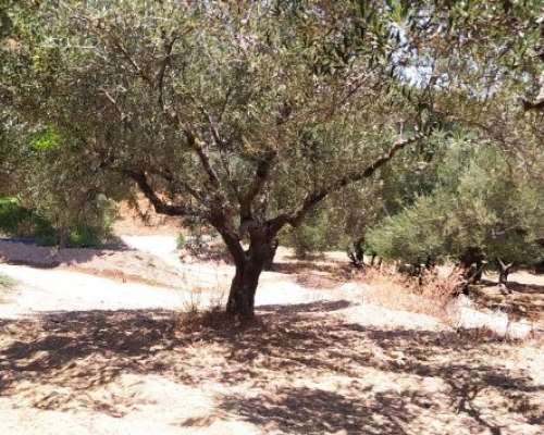 φωτογραφία ακινήτου