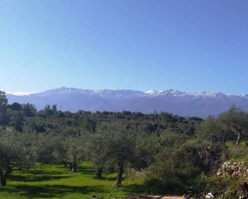 φωτογραφία ακινήτου