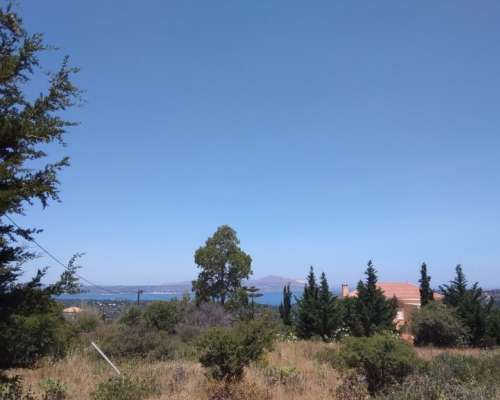 εικόνα ακινήτου