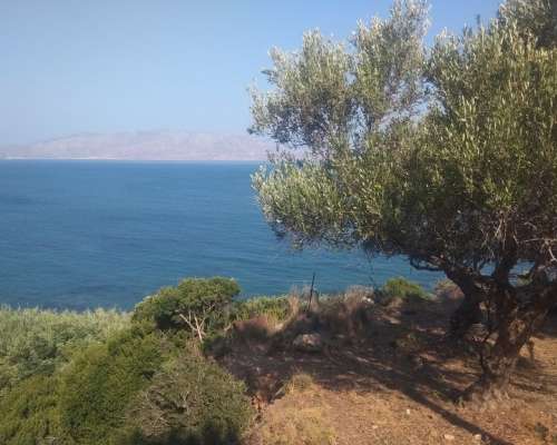 φωτογραφία ακινήτου