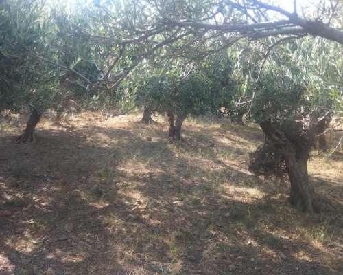 φωτογραφία ακινήτου