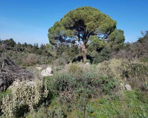 φωτογραφία ακινήτου