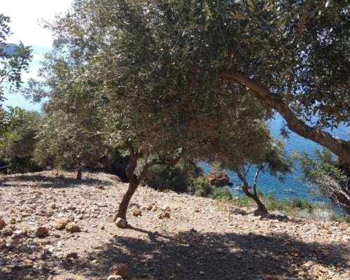 φωτογραφία ακινήτου