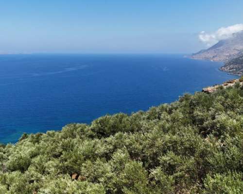 φωτογραφία ακινήτου