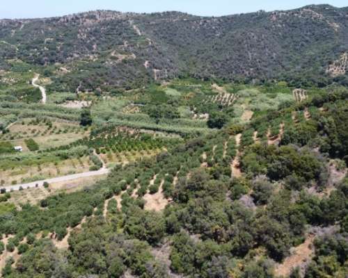 φωτογραφία ακινήτου