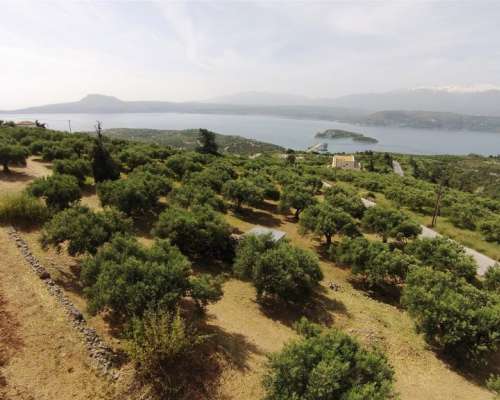 εικόνα ακινήτου