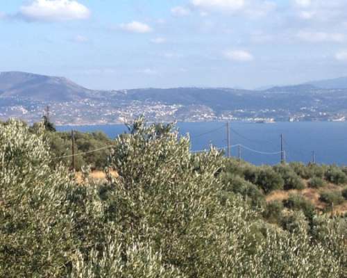 φωτογραφία ακινήτου