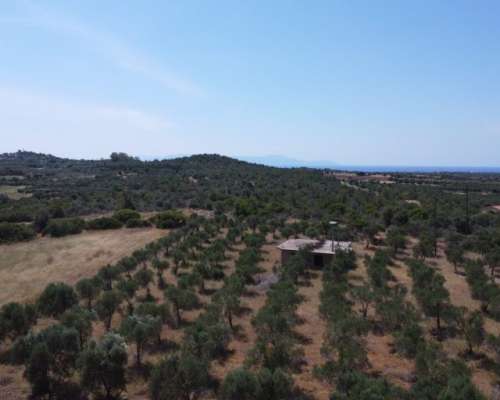 φωτογραφία ακινήτου