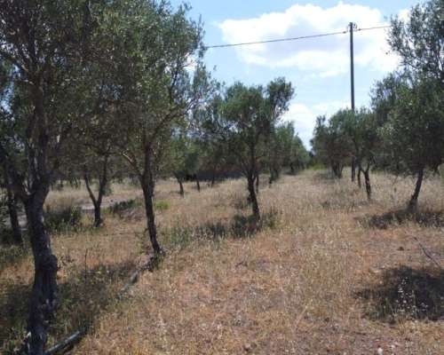 φωτογραφία ακινήτου