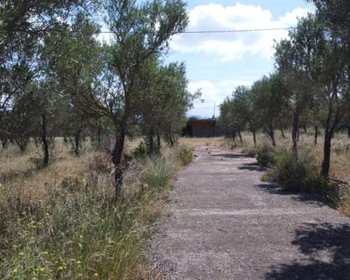φωτογραφία ακινήτου