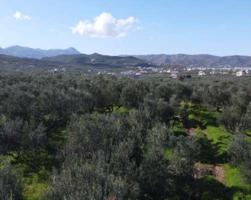 φωτογραφία ακινήτου