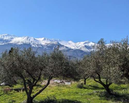 εικόνα ακινήτου