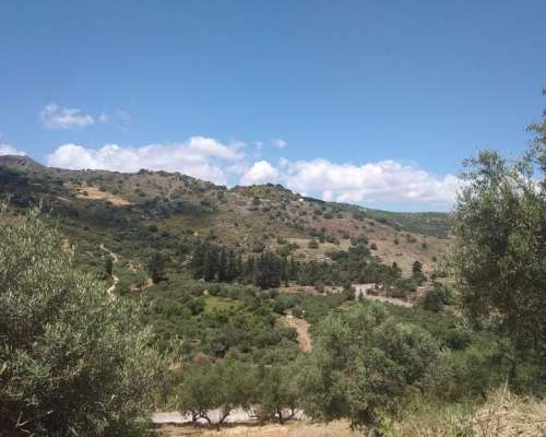 φωτογραφία ακινήτου