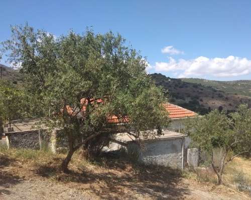 φωτογραφία ακινήτου