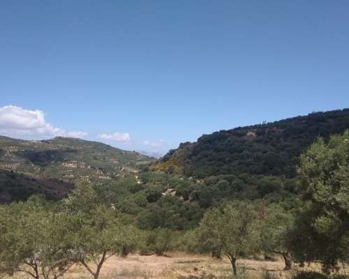 φωτογραφία ακινήτου