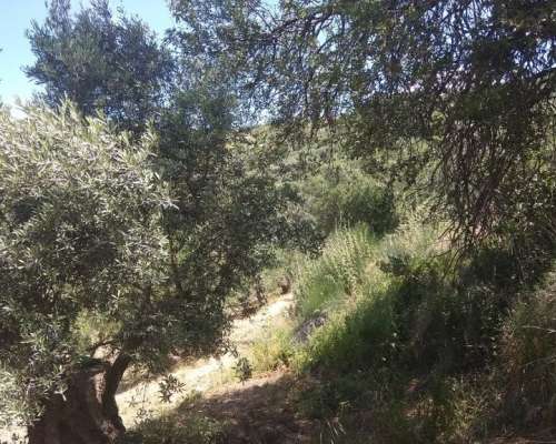 φωτογραφία ακινήτου