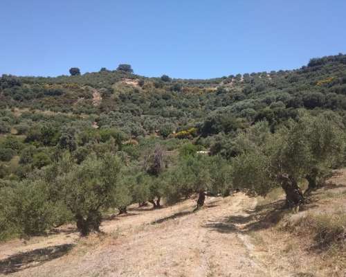 φωτογραφία ακινήτου