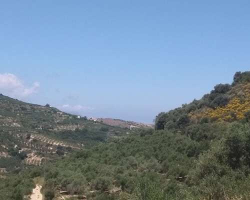 φωτογραφία ακινήτου