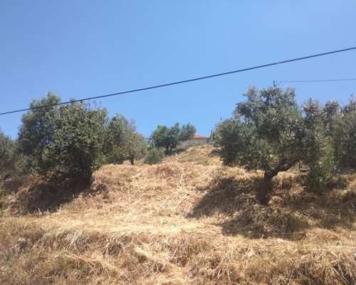 φωτογραφία ακινήτου