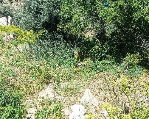 φωτογραφία ακινήτου