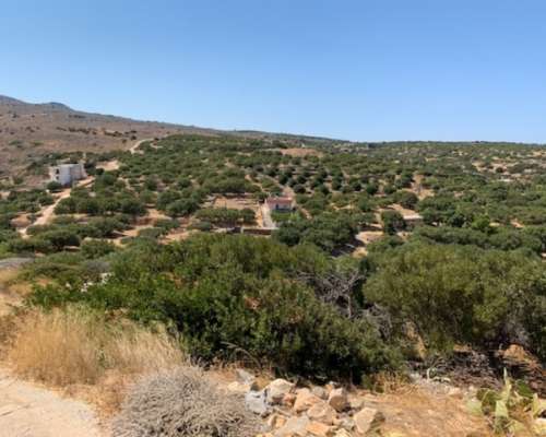 εικόνα ακινήτου