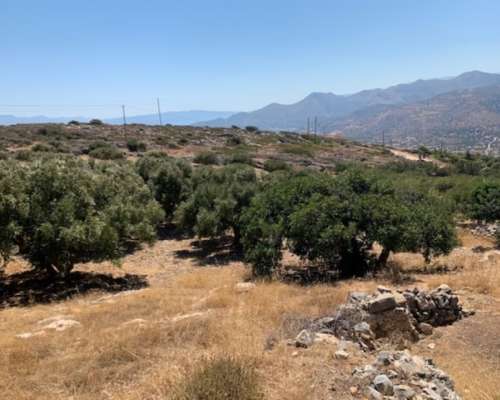φωτογραφία ακινήτου