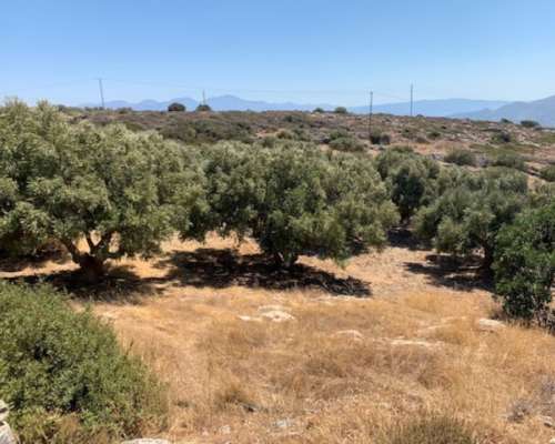 φωτογραφία ακινήτου