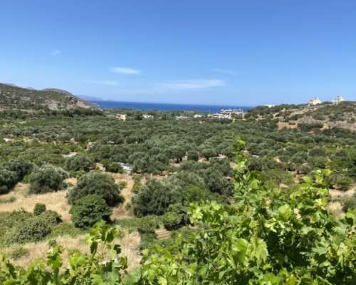 φωτογραφία ακινήτου