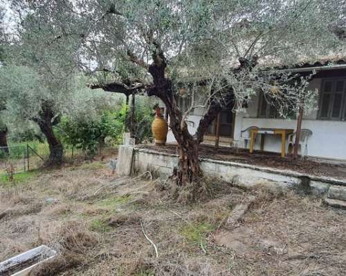 φωτογραφία ακινήτου