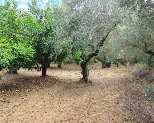 φωτογραφία ακινήτου