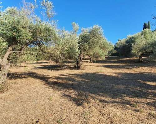 εικόνα ακινήτου