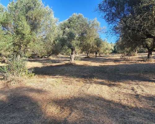 φωτογραφία ακινήτου