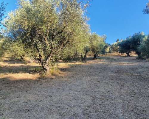 φωτογραφία ακινήτου